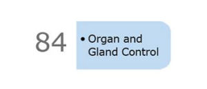 insight scanning technology